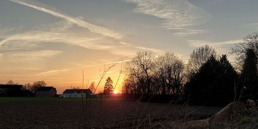 Bilan climatologique de février 2026 : un mois très doux, pluvieux et humide.